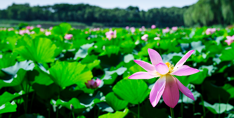 itb8888通博(中国区)官方网站